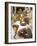 Priests' Hands Taking the Host During Mass in Easter Week-Eitan Simanor-Framed Photographic Print