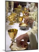 Priests' Hands Taking the Host During Mass in Easter Week-Eitan Simanor-Mounted Photographic Print