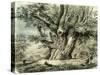 Prilly Lac De Geneve Switzerland 19th Century-null-Stretched Canvas