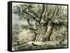 Prilly Lac De Geneve Switzerland 19th Century-null-Framed Stretched Canvas