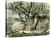 Prilly Lac De Geneve Switzerland 19th Century-null-Stretched Canvas