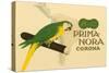 Prima-Nora Cigar Label, Parrot-null-Stretched Canvas