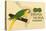 Prima-Nora Cigar Label, Parrot-null-Stretched Canvas