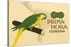 Prima-Nora Cigar Label, Parrot-null-Stretched Canvas