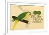 Prima-Nora Cigar Label, Parrot-null-Framed Premium Giclee Print