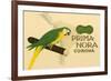 Prima-Nora Cigar Label, Parrot-null-Framed Premium Giclee Print