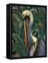 Primal Pelicana-Steve Hunziker-Framed Stretched Canvas