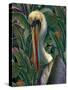 Primal Pelicana-Steve Hunziker-Stretched Canvas