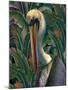 Primal Pelicana-Steve Hunziker-Mounted Art Print