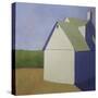 Primary Barns III-Carol Young-Stretched Canvas