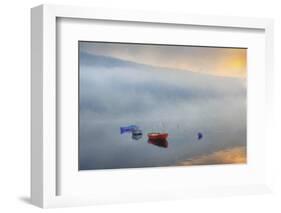 Primary Canoes-Kim Curinga-Framed Photographic Print