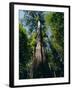 Primary Lowland Rainforest, Lambir Hills National Park, Sarawak, Island of Borneo, Malaysia, Asia-Jane Sweeney-Framed Photographic Print