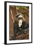 Primate I-Karyn Millet-Framed Photographic Print