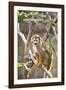 Primate II-Karyn Millet-Framed Photographic Print