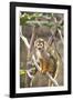 Primate II-Karyn Millet-Framed Photographic Print