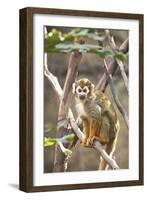 Primate II-Karyn Millet-Framed Photographic Print