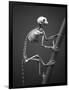 Primate Skeleton on Display-Henry Horenstein-Framed Photographic Print