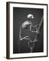 Primate Skeleton on Display-Henry Horenstein-Framed Photographic Print