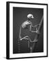 Primate Skeleton on Display-Henry Horenstein-Framed Photographic Print