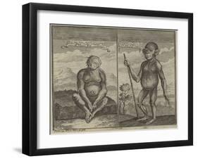 Primates from Angola-null-Framed Giclee Print