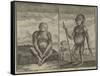 Primates from Angola-null-Framed Stretched Canvas