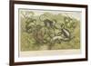 Primates-null-Framed Giclee Print