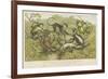 Primates-null-Framed Giclee Print