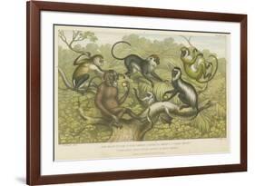 Primates-null-Framed Giclee Print