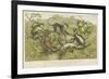 Primates-null-Framed Giclee Print