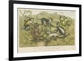 Primates-null-Framed Giclee Print