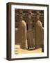 Primative Wooden Gate, Mali, West Africa-Ellen Clark-Framed Photographic Print