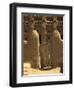 Primative Wooden Gate, Mali, West Africa-Ellen Clark-Framed Premium Photographic Print