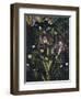 Primavera, c.1478-Sandro Botticelli-Framed Giclee Print