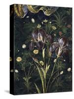 Primavera, c.1478-Sandro Botticelli-Stretched Canvas