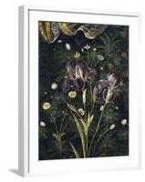 Primavera, c.1478-Sandro Botticelli-Framed Giclee Print