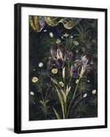 Primavera, c.1478-Sandro Botticelli-Framed Giclee Print