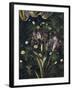 Primavera, c.1478-Sandro Botticelli-Framed Giclee Print