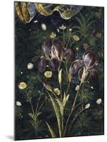 Primavera, c.1478-Sandro Botticelli-Mounted Premium Giclee Print