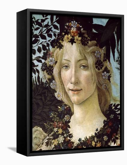 Primavera, c.1478-Sandro Botticelli-Framed Stretched Canvas