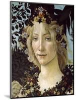 Primavera, c.1478-Sandro Botticelli-Mounted Giclee Print