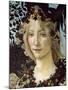 Primavera, c.1478-Sandro Botticelli-Mounted Giclee Print