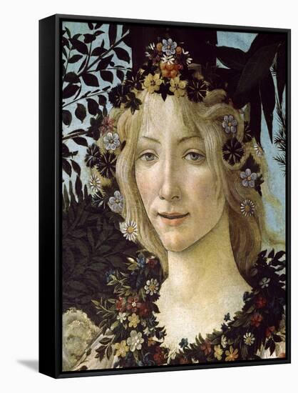 Primavera, c.1478-Sandro Botticelli-Framed Stretched Canvas