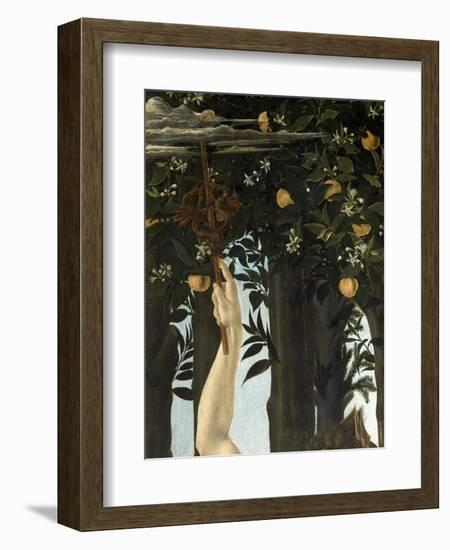 Primavera, c.1478-Sandro Botticelli-Framed Giclee Print