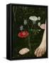 Primavera, c.1478-Sandro Botticelli-Framed Stretched Canvas