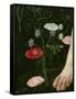 Primavera, c.1478-Sandro Botticelli-Framed Stretched Canvas