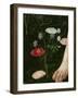 Primavera, c.1478-Sandro Botticelli-Framed Giclee Print