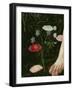 Primavera, c.1478-Sandro Botticelli-Framed Giclee Print