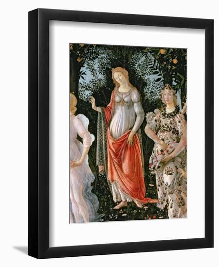 Primavera, c.1478-Sandro Botticelli-Framed Giclee Print