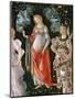 Primavera, c.1478-Sandro Botticelli-Mounted Giclee Print