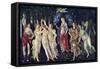 Primavera, C1478, (C1900-192)-Sandro Botticelli-Framed Stretched Canvas